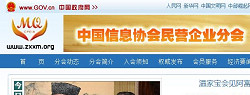 中国信息协会民营企业分会  网站开发