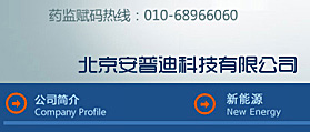 北京安普迪科技有限公司 网站开发 英文网站制作