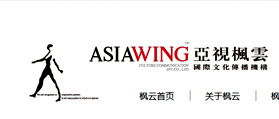 亚视枫云国际文化传播有限公司 网站制作 网站建设