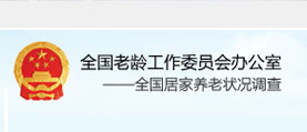 全国养老状况调查工作调查 网站设计 网站建设