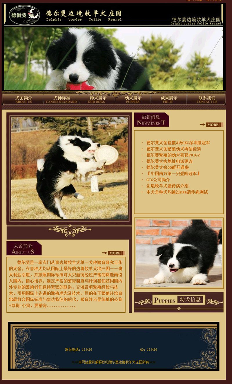 牧羊犬状园