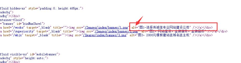 网站建设中的ALT标签是做什么用的。