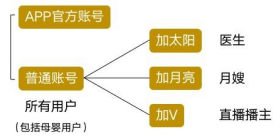 用户账号分类及各角色权益