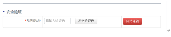 全国公安机关互联网站安全服务平台 备案操作指南.png