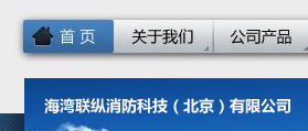 海湾联纵消防科技（北京）有限公司 网站建设 网站设计