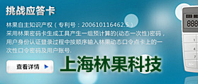 上海林果 网站改版 网站建设
